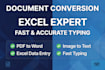 do fast typing ,excel work and document conversion