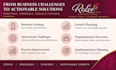provide business strategy and operations consulting
