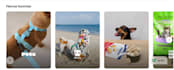squarespace website design, squarespace redesign, bugfix new website