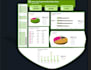 deliver expert data analysis and professional reports excel,sql,power bi