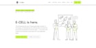 build a professional small business website with SEO setup