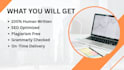 write SEO articles and blog posts for US businesses