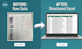 do accurate data entry and excel data formatting