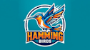 design amazing hamming bird mascot logo