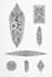 create a profesional tribal tattoo design
