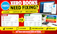 fix xero books, cleanup, catchup, reconciliation, categorization, reports