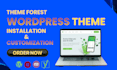 expertly customize wordpress themes and plugins
