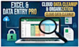 do professional data entry, excel spreadsheet formatting, and admin supp