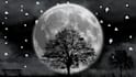 designs wallpapers posterand anything demanded