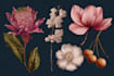 draw detailed botanical and floral illustrations