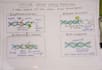 handwrite scientific and others note assignment project