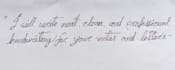 write neat handwritten letters notes or study materials for you