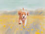 draw a custom pet portrait from your photo