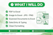 convert PDF to excel, image to excel and do accurate data entry