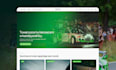 design and develop your shopify website