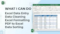 do accurate excel data entry and spreadsheet data entry