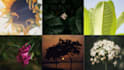 capture scenic urban and nature photography