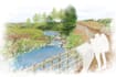create urban design illustrations, masterplans and site analysis graphics