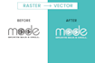 do raster to vector conversion