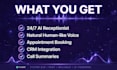 build ai voice agent, ai receptionist and chatbot with vapi