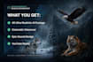 create wildlife animals documentary videos for you