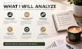 analyze your business and create an actionable growth plan