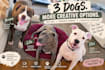 create high converting pet ugc video ads for your product