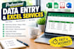 do data entry, excel data cleaning and copy paste work