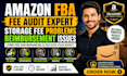 fix audit amazon fba storage  charge fee problems reimbursement issues