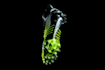 create custom 3d shoe and cleat models