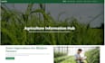 do web design and development personal blog and business