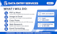do excel data entry copy paste and web research