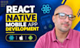 expert full stack developer, mobile app, web app developer react js react native