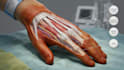 do realistic medical illustration
