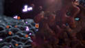 create 3d medical immunotherapy cancer molecular moa animation biotech explainer