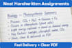 do handwritten assignment,notes and neat calligraphy work