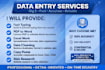 do fast data entry typing excel work and pdf to word conversion