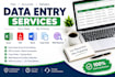 professional data entry and excel data entry services