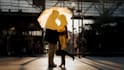 create professional vfx composition for your videos