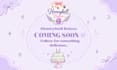 design canva social media posts