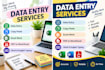 accurate data entry work