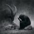 create detailed black and white fantasy art