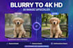 upscale and enhance your image to 4k HD quality with  ai