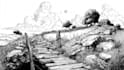 draw black and white sketch