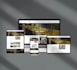 design and develop a modern responsive business website