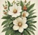 illustrate best botanical illustration, botanical