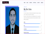 a custom HTML CSS javascript website