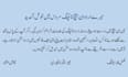 do urdu typing, in page composing and urdu assignment work