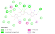 do molecular docking and virtual screening analysis