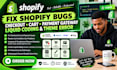fix shopify bugs checkout cart payment gateway liquid coding and theme errors